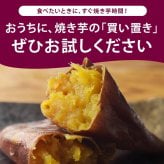 焼き芋 常温 国産 紅はるか 紅の焼きいも 3個/5個 個包装 そのまま食べられる レンジで1分 冷やし焼き芋 やきいも さつまいも 蜜芋 ねっとり おやつ 和スイーツ お取り寄せ 送料無料 MAEDAYA