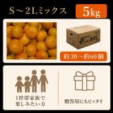 みかん 5kg 贈答用 秀品 特選 送料無料 和歌山 S～２L 混合 伊藤農園 小玉 大玉 中玉 手詰め 有田みかん 温州みかん 早生 約35～60個 ご当地 果物 柑橘出産内祝い 贈答 ギフト 誕生日 結婚祝い 出産祝い 内祝い ギフト