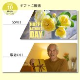 ギフト 靴下 メンズ ロングホーズ 4足セット ハイソックス 日本製 高級 ギフトボックス入 ビジネス 34cm丈 座っても素肌が見えない 誕生日 敬老の日 クリスマス プレゼント 27-29cm 大きいサイズ 送料無料