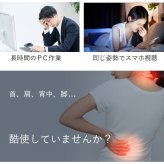 PROBWAY 振動ボール ピーナッツデザイン 最大3200RPM 背中などにも使いやすい セルフケア・ストレッチサポート