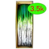 【12月中旬～順次出荷】産地直送 矢切ねぎ (約3.5kg)千葉県松戸市の特産品 葱 長葱 長ネギ 白ねぎ 根深ねぎ 長ねぎ 青ねぎ 葉ねぎ 万能ねぎ 九条ねぎ 下仁田ねぎ あさつき わけぎ リーキ ネギ