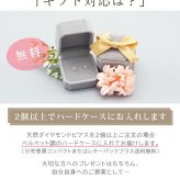 軸太0.8mm ロングポスト12mm 天然ダイヤモンド 一粒ピアス セカンドピアス PT900 プラチナ 0.05ct 【日本製・鑑別書つき】金属アレルギー対応 レディース メンズ ダブルロックキャッチ 地金【全品1個ずつバラ売り】 プレゼント