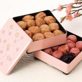 紀州南高梅 二段重 二種味比べ (3788-45) [お中元][お歳暮] ※送料無料(北海道・沖縄・離島への配送不可)