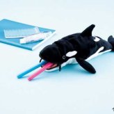 ペンケース シャチ 筆箱 ポーチ ぬいぐるみ型 ユニーク 雑貨 文房具 おもしろ雑貨 アニマル 動物 フィギュア ペンポーチ 筆入れ 子供 大人 オフィス スクール ギフト プレゼント セトクラフト