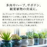 ガーデン エクステリア 木製窓付グリーンハウス （温室） 「OWN」（オウン） GRH45DGR 温室 木製 ウッド 簡易 観葉植物 多肉植物 園芸 おしゃれ 飼育 ケース 保温