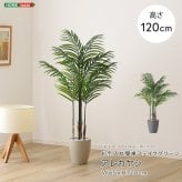 お手入れ簡単 フェイクグリーン アレカヤシ Sサイズ(120cm)