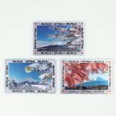 角型マグネット LL 3個セット E 富士山 絶景 お土産 日本 土産 souvenir JAPAN Magnets ご当地 外国人 スーベニア ジャパン