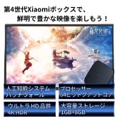 Xiaomi Mi box 4c メディアストリーミング端末 小米盒子4c 4K HDR対応  スマートテレビ MDZ-20-AA ブラック シャオミ 当店限定USBメモリ付【中級者向け・設定サポートなし】