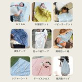 【ギフトセット】はらぺこあおむし マルチガーゼケット＆おむつ替えシート2点セット (ギフトボックス付き)  | 100×100cm 赤ちゃん 新生児 日本製 ダブルガーゼ   おむつ替えマット 綿100%  おくるみ出産祝い プレゼント ギフト