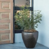 植木鉢 おしゃれ 大型 陶器 17号 ウーヌム ジャー 幅50cm 高さ50cm 鉢カバー 高級 釉薬陶器製 寒冷地対応 北欧 屋外向け 観葉植物用 サボテン 特大 ガーデニング ベランダ 玄関 インテリア プランター 深型