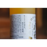 【3点入り・ギフトボックス】The はっさく 飲み比べセット｜プレーン・ドライさんしょう・生（PURE）