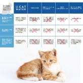 pH バランス キャット ウォーター 4L【天然水 猫水 尿路ケア 結石対策 尿ケア 水分補給】