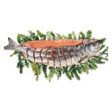 送料無料 お歳暮 根室産 切り身（山漬け） 鮭輝  ※11月9日から12月24日 北海道・沖縄・離島は配達不可 全国送料無料御中元ギフト早割お中元2026御中元御見舞お見舞いお取り寄せグルメスイーツ