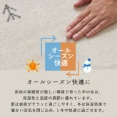 ラグ カーペット ギャベ ギャッベ ギャッペ マット 防炎 インド絨毯 ギャベマット 羊毛 ホワイト インドギャベ 絨毯 高級感 40×40cm 新生活