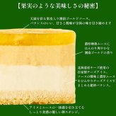 【予約受付中】クリスマス アイスケーキ 湘南ゴールドとチーズアイスケーキ 15cm クリスマス Xmas 2025 アイス ケーキ ギフト スイーツ プレゼント ギフト フルーツ  送料無料 贈り物 湘南 柑橘 紅茶 チーズ ケーキ アイス(x25004)