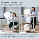 電動昇降デスク 幅120cm テーブル ワークデスク『電動昇降デスク SD』高さメモリー機能 高さ調整 USB付き おしゃれ 電動昇降テーブル PCデスク パソコンデスク オフィスデスク ゲーミングデスク 昇降デスク 昇降テーブル 電動 昇降 デスク