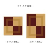 夏ラグ 夏用カーペット ラグ 長方形 夏用 ふっくら い草 シンプル 191×250cm 新生活