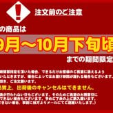 ボタンエビ 活 〆 オス 大中サイズ 1kg 秋 北海道 噴火湾産 送料無料※沖縄は送料別途加算