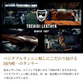 【名入れ無料】 栃木レザー コインキャッチャー コインケース 小銭入れ 本革 財布 ミニ財布 コンパクト メンズ レディース 牛革 レザー レール 見やすい 取り出しやすい 仕分け ファスナー 刻印 ギフト プレゼント 父の日 母の日 敬老の日 就職祝い 贈り物 送料無料 レトロ