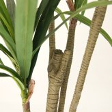 観葉植物 造花 ユッカ BROWN 全高約160cm 大型 フェイクグリーン 本物そっくり おしゃれ インテリア 人工観葉植物 アーティフィシャルグリーン オフィス 店舗 ホテル 開店祝い 室内 青年の木 エレファンティペス フェイク