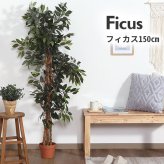 ガーデン エクステリア 観葉植物 フィカス ６９０ Ａ フェイクグリーン 植物 緑 グリーン 癒し 植木 インテリア ガーデニング おしゃれ カフェ リビング プランター ギフト プレゼント 贈り物 オフィス 会社 枯れない 簡単 手入れ 樹木 新生活