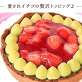 ＼早割！／ クリスマスケーキ クリスマスプレゼント 予約 2026 苺 チーズ タルト チーズタルト チーズケーキ ピスタチオ 黄緑 甘酸っぱい オリジナル ストロベリー コンポート 4号2～3人 スイーツ お菓子 洋菓子 可愛い かわいい おしゃれ おいもや