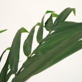 観葉植物 造花 ケンチャヤシ BROWN 全高約152cm 大型 フェイクグリーン 本物そっくり おしゃれ インテリア 人工観葉植物 アーティフィシャルグリーン オフィス 店舗 ホテル 開店祝い 室内 ケンチャパーム ヤシの木 フェイク