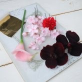 胡蝶蘭の髪飾りセット 桜 カラー アーティフィシャルフラワー 和装 成人式 卒業式 結婚式 金箔付 213