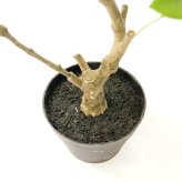 観葉植物 造花 パキラ BROWN 全高約90cm 中型 フェイクグリーン 本物そっくり おしゃれ インテリア 人工観葉植物 アーティフィシャルグリーン オフィス 店舗 ホテル 開店祝い 室内 発財樹 フェイク