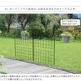 ガーデン エクステリア アイアンフェンス 高さ126「グラフ」4枚組 フェンス アイアン ガーデニング 枠 柵 仕切り 目隠し 境目 クラシカル アンティーク 格子 ベランダ つる 薔薇 バラ 朝顔 園芸 ラティス つるバラ 庭誘引 屋外 新生活