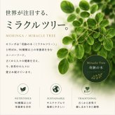 【モリンガ×抹茶】SAEMON's モリンガ抹茶プラス 200g スーパーフード モリンガ 粉末 国産抹茶 90種以上の栄養素 GABA ポリフェノール 食物繊維 美容 健康 朝食置き換え プロテイン スムージー ギフト