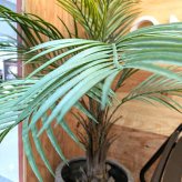 観葉植物 造花 カナリーヤシ BROWN 全高約116cm 中型 フェイクグリーン 本物そっくり おしゃれ インテリア 人工観葉植物 アーティフィシャルグリーン オフィス 店舗 ホテル 開店祝い 室内 フェニックス ヤシの木 フェイク