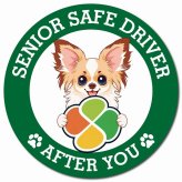 カーサイン 高齢者マーク SENIOR SAFE DRIVER パピチワ マグネット 強力 直径13cm 肉球 日本製 車 ステッカー