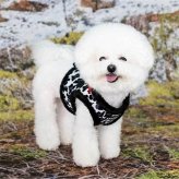 PUPPIA パピア ハーネス 秋冬 フリース ワイルドハーネス プレゼント ギフト 誕生日 S M L XL 小型犬 中型犬 チワワ トイプードル 柴犬 散歩 暖かい 防寒 ベスト型 着せやすい