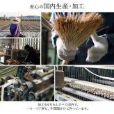 夏ラグ 夏用カーペット ラグ 国産 純国産 日本製 い草 モダン 抗菌防臭 自然素材 約176×230cm