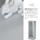 コレクションケース Lサイズ ONLS0417 フィギュアボックス 幅43cm 奥行34cm 高さ120.5cm リビング収納 背面ミラー コレクションケース 推し活 ディスプレイ ケース 角型 推し活 収納 ディスプレイ おしゃれ