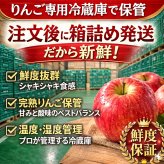 青森県産　りんご　ぐんま名月　訳あり　５ｋｇ　全国送料無料！