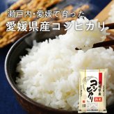 令和8年産 新米 愛媛県産 コシヒカリ【内容量が選べる5kg～30kg】雑穀米本舗 愛媛県 選べる 白米 単一原料米 送料無料 精米工場からの直送品