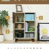 ベッド 寝具 リビングボード おしゃれ 北欧風 ナチュラル 幅60 奥行30 高さ85 電話台 扉付き 可動棚 モダン ソファ横 横 ナチュラルカントリー 見せない 薄型 かわいい