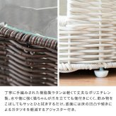 サイドテーブル 猫ちぐら Pienet(ピエネ) ラタン キャットハウス ペット用品 ねこ ガラステーブル ペットハウス キャットラック 猫用ちぐら 猫グッズ 猫用家具 ペット家具 サイド ソファサイド ナイトテーブル 樹脂製ラタン 沖縄 新築祝い 引越し祝い
