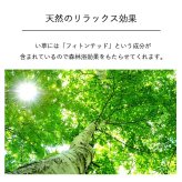 国産 日本製 い草 インテリア オブジェ 消臭 空気清浄 ナチュラル 植物 置物 95×10cm