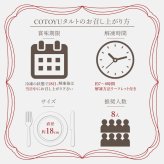 ハロウィン 御歳暮 お歳暮 早割 送料無料爽やかレモンタルト18㎝ 8名〜10名様用 パーティー 大人 子供 記念日 お祝い 内祝 出産祝 お礼 お返し 人気 お取り寄せ お菓子 ケーキ 送料無料 翌日お届け お取り寄せスイーツ TVで紹介 熨斗対応 パーソナルラッピング対応 詰め合わせ 高級 おしゃれ 可愛い 冷凍発送