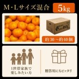 みかん 5kg 贈答用 秀品 特選 送料無料 和歌山 M L 伊藤農園 大玉 中玉 手詰め 有田みかん 温州みかん 約30個～40個 果物 出産内祝い 贈答 ギフト 誕生日 結婚祝い 出産祝い 内祝い ギフト