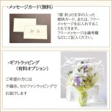仏花 造花 お悔み お供え 贈り物 アレンジ「やすらぎ」送料無料  お洒落 仏壇用 お供えの花 お悔やみの花 仏壇の花 お手入れ不要 光触媒 仏壇 おしゃれ お洒落 コンパクト 花 お悔みの贈り物 ろうそく ガラス 犬 猫 ペット 手元供養 仏壇用 お供えの花 お悔やみの花 新盆 初盆 お彼岸 お盆 仏壇 ギフト 花 光触媒  高齢者 子供 四十九日 一周忌３回忌 喪中見舞い お洒落 おしゃれ