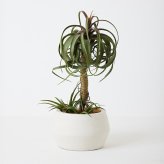 観葉植物 造花 チランジア ミックス BROWN 全高約81cm 中型 フェイクグリーン 本物そっくり おしゃれ インテリア 人工観葉植物 アーティフィシャルグリーン オフィス 店舗 ホテル 開店祝い 室内 エアプランツ フェイク