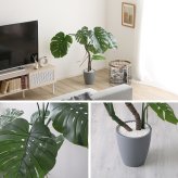お手入れ簡単 フェイクグリーン モンステラ Sサイズ(120cm)