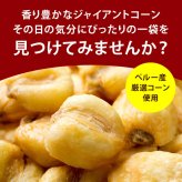 前田家 ジャイアントコーン 選べる3種 辛マヨ/塩/コーンポタージュ 180g－410g とうもろこし トウモロコシ おつまみ おやつ ビール ハイボール 家飲み チャック付き 送料無料 MAEDAYA