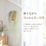 CT触媒 フェイクグリーン ハンギング 通販 キシマ アーティフィシャルグリーン 観葉植物 フェイク グリーン 吊り下げ バスケット 壁掛け 人工観葉植物 消臭 ハンギングバスケット 小さめ 小型 おしゃれ リビング リアル kishima 造花 インテリア