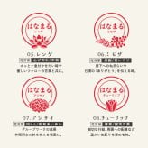 ＜即日発送＞ スタンプ はんこ 本気のはなまるスタンプ 先生スタンプ ごほうびスタンプ 評価印 先生 みました ハンコ おしゃれ ほめる 花スタンプ サクラ チューリップ ミモザ 教師 塾 学校 判子