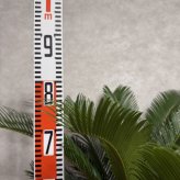 現品 観葉植物 ソテツ 蘇鉄 高さ80cm 10号鉢苗 大型種類 大きい 鉢植え 和風 和室 南国 おしゃれな室内インテリア 日陰 風水 玄関 リビング 初心者におすすめ 簡単で育てやすい 耐陰性 部屋 屋外 かわいい ベランダ プレゼント ギフト 開店祝い 結婚祝い 窓際 テレビ横 モダン 贈答
